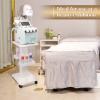 Upgrade Esthetician Beauty Trolley Cart with Wheels and 2 Trays, 4 Tier Beauty Rolling Cart, Spa Salon, Beauty Machine Trolley, Load 135lbs, 26.7 x 13.8 x 15 inch view 3