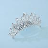 Jumwrit Silver Pearl Rhinestone Crown Hair Comb Glitter Princess Wedding Birthday Tiara Non-Slip Shiny Small Hair Comb Bridal Prom Party Headpiece Hair Accessories for Women Girls (Style 1) view 4