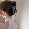 Korean Hair Clips For Women Clip Korean Crystal Diamond Tassel Hair Claw Clip Hair Accessories view 2