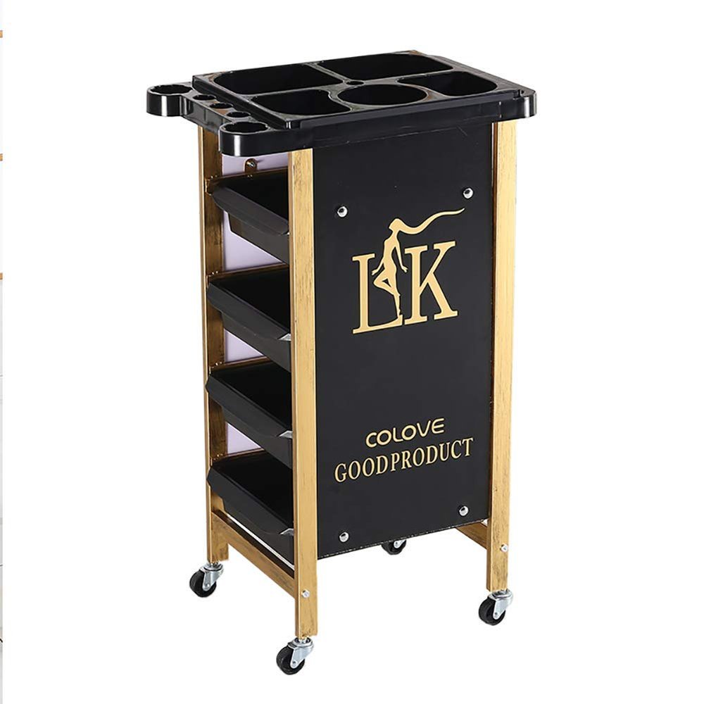 GagalU Beauty Salon Rolling Trolley with 4 Drawer, Stylist Hairdresser Cart with Wheel, 20 Kg Capacity, Equipment with Appliance Holder,