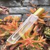 10ml Tall Square Roller Bottle (Gold Cap) view 2