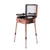 CNCEST Make-Up Case, Rolling Makeup Train Case Salon Cosmetic Trolley W/Led Light Mirror, Pro Make-Up Station, Cover Panel and Easy-to-Clean Extendable Trays, Adjustable Legs, Robust view 1
