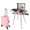 BANLICALI Makeup Bag, Aluminum Alloy Rolling Makeup Case with LED Light, Mirror and Wheels, Adjustable Legs, Free Standing Cosmetic Train Table Make-Up Station Pink Max.Load 50kg/110.23lbs view 2