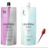 Professional Hair Rebonding Kit - Crystallizing Straightener, Neutralizing Cream, Hair Brush (2023) view 1