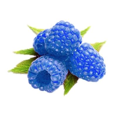 BLUE RASPBERRY Edible LIP SCRUB | Yummy Taste + Soft Lips | Moisturize + Exfoliate | Handcrafted in Small Batches USA