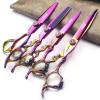 5.5 Inches/6 Inch Sharongds Japanese Hairdressing Scissors Thinning Scissors Hair 16.5 cm Professional Barber Scissors Set (6 + 7 Inch 4-Piece Set) view 1