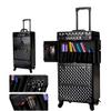 BABYCE Utility Organizer Cart Rolling Makeup Case Trolley Aluminum Alloy Edge Wear-Resistant Universal Casters High Capacity Password Multi-Functional Beauty Kit, Black, 38X25x82cm view 1