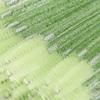 50pcs Nylon Makeup Brush Mascara Wands Eyelash Eyebrow Disposable Portable Brush Professional Makeup Tools(Green) view 3