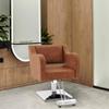 BarberPub Classic Salon Chair for Hair Stylist,Hydraulic Barber Styling Chair,Beauty Salon Spa Equipment 3802 (Brown) view 2