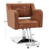 BarberPub Classic Salon Chair for Hair Stylist,Hydraulic Barber Styling Chair,Beauty Salon Spa Equipment 3802 (Brown) view 3
