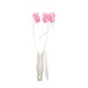 Beavorty Slimming Face Roller Massager Jaw Exerciser Tools Face Massager for Beauty view 1