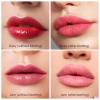 Seraphine Botanicals Lip Stain Juicy Water Ink Makeup Glossy Glowing Finish or Blot for Matte! Lip Tint Ultra Hydrating Plumping Infused with Iris Root & Quince & Raspberry Seed Oil .18oz (Sunlit) view 3