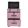banborba Professional Rolling Makeup Train Case with Drawers, Large Cosmetic Trolley with Locks, Cosmetics Storage Organizer with 4 Wheels for Travel Makeup/Nail Art/Hair Styling (Pink) view 4