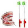 Wellgler's Oral Care Single Use Suction Swab with mouth swabs view 1