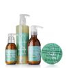 RD Alchemy - 98% - 100% Natural & Organic Eucalyptus Grapefruit Body Care Set - Fresh and Clean Scent to Refresh and Energize while Gifting Your Body with a Spa Treatment from Home view 1