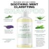 Inahsi Clarifying Shampoo and Conditioner Collection | Clarifying Shampoo & Soothing Mint Conditioner | Hair Products for Naturally Curly Hair | Made in the USA view 4