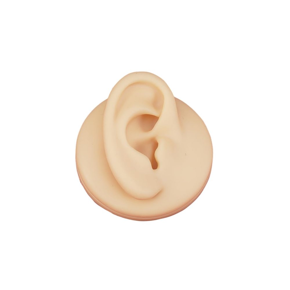 Body Piercing Practice Model, Ear Piercing Model Simulating Human Organs, Suitable for Novice Piercing Practice, Medium Skin Color