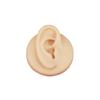 Body Piercing Practice Model, Ear Piercing Model Simulating Human Organs, Suitable for Novice Piercing Practice, Medium Skin Color view 1