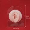 Body Piercing Practice Model, Ear Piercing Model Simulating Human Organs, Suitable for Novice Piercing Practice, Medium Skin Color view 4