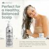 Ahimsa Gentle Purifying Shampoo Oily Hair Cleanser for Build Up, Daily Clarifying Shampoo with Indian Gooseberry & Willow Bark Extract, Scalp Cleanser for Build Up Removal of Grease and Impurities view 4