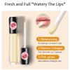 Lip Plumper Lip Gloss, Plumping Lip Maximizer Serum Plumper Lip Plumping Gloss, Lip Oil Long Lasting Hydrating Natural Lip Plumper for Women Girls Lip Care view 2