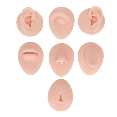 Cryfokt Silicone Piercing Practice Model, Soft Simulation Body Pierce Tool Kit, Flexible Body Part Display Set with Ear Eye Nose Mouth Tongue, 7PC Reused Parts for Novice Teach