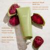 DAE Shine Bright Set (Signature Shampoo, Signature Conditioner & Stargloss Treatment) view 3