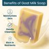 1 Cherry Almond, 1 Honey Oatmeal & 1 Lavender Soap Bar with 2 Avocado Facial Bars (5 Bars) view 3