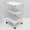 Elitzia Beauty Salon Spa Esthetician Trolley with Wheels Storage Rolling Cart 3 Layers 15KG Weigh Capacity ETTRO01 view 2