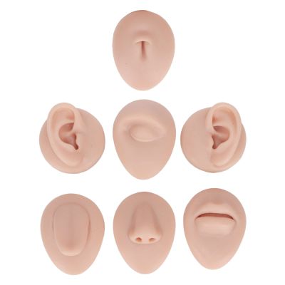 Piercing Practice Body Parts, 6Pcs Simulation Body Piercing Practice Model Silicone Ear Eye Nose Mouth Tongue and Belly Model for Novice Piercer (Medium Skin Color)