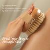 Bare Botanics Dry Body Brush for Lymphatic Drainage - Improve Circulation w/Gentle Exfoliation for Soft Skin - Ergonomically Designed w/Elastic Strap - Soft but Firm Natural Boar Bristles view 2