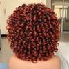 Afro Curly Short Hair Wig With Bangs Loose Synthetic Cosplay Fluffy Shoulder Length Natural Wigs For Black Women YG51F 14inches view 4
