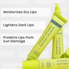 Hyphen Lip Balm Combo for Dry & Chapped Lips | Vanilla & Peach Scents with SPF 30 Protection - Hydrating & Moisturizing for Men & Women view 3