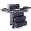 FLEAGE Professional Service Trolley Professional Cosmetic Case with Wheels, Large Cosmetic Case Cosmetic Case, Portable Hairdresser Case Beauty Case Trolley,Black b (Color : Purple) view 1