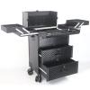FLEAGE Professional Service Trolley Professional Cosmetic Case with Wheels, Large Cosmetic Case Cosmetic Case, Portable Hairdresser Case Beauty Case Trolley,Black b (Color : Black B) view 1