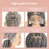 PIB 12" Single Full Lace Knotless Box Braid Wig Square Parted Braided Wigs for Black Women with Natural Baby Hair (44, Salt and Pepper) view 4