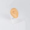 AccGin 1Pc Soft Silicone Body Parts Model Human Ear Mouth Nose Eye Tongue Navel Model Display Puncture Display Simulation for Jewelry Display Teaching Tool piercing practice body parts view 3