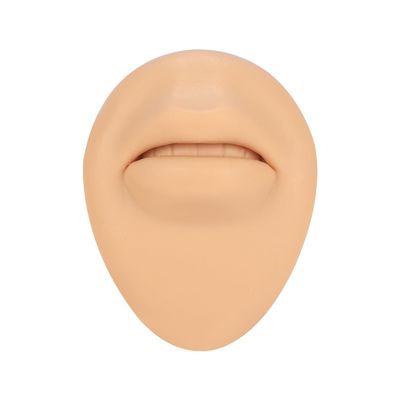 AccGin 1Pc Soft Silicone Body Parts Model Human Ear Mouth Nose Eye Tongue Navel Model Display Puncture Display Simulation for Jewelry Display Teaching Tool piercing practice body parts