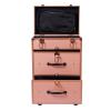 LyeXD Rolling Makeup Case w/Sliding Drawer, Makeup Train Case with Lock&Wheels, Large Storage Cosmetic Trolley Salon Barber Case Traveling Cart Trunk for Cosmetologist Nail Tech,Gold view 3