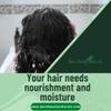 Bare Beauty Naturals Large CURL Box 16 oz each (16oz Calilove C. & Roots&Culture M. pump top, 16 oz Licorice Root Shampoo) view 4