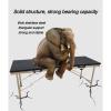 AoForce Massage Tables Portable, Massage Bed Foldable Spa Tables Adjustable 2 Fold, Portable Massage Table Professional Massage Bed 2 Fold 71 Inches, Strong and Durable view 3