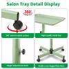 Salon Tray, Metal Feet Salon Rolling Tray Cart, Salon Tray on Wheels with Adjustable Height, Salon Color Tray Ideal Use As Tattoo Tray, Medical Tray, Dental Tray view 3
