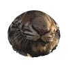 Animal Tiger Printed Shower Cap for Women Waterproof Bath Caps Reusable Double Layered Shower Hat Bathing Shower Caps for Men Ladies Spa Salon view 1