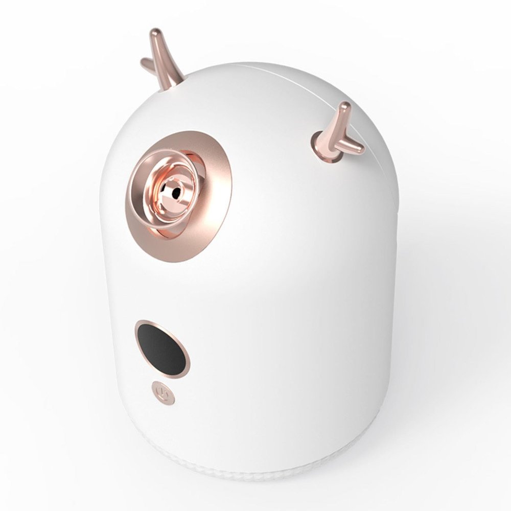 KAYNO Portable Nano Facial Steamer Hydrating Sprayer for Home Use