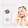 KAYNO Portable Nano Facial Steamer Hydrating Sprayer for Home Use view 2
