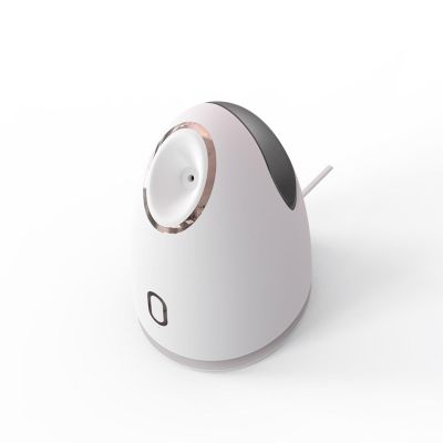 KAYNO Portable Nano Facial Steamer Hydrating Sprayer for Home Use