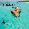 Medicine Springs Dead Sea Salt for Hot Tub Mineral Therapy Dead Sea Minerals hot Spring Soaking Collection, Turn Your hot tub into a Soaking Mineral Spring (Bahamas) view 3
