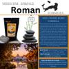 Medicine Springs Dead Sea Salt for Hot Tub Mineral Therapy Dead Sea Minerals hot Spring Soaking Collection for Healing Turn Your hot tub into a Soaking Mineral Spring (Rome) view 2