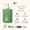 ANILLO Lime Sunday Conditioner Set  Refresh Shampoo + Hair Conditioner, Daily Haircare for Deep Cleansing Oily Scalp, pH Balanced, Protein Complex, Vegan Haircare, Paraben Free view 2