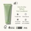 ANILLO Lime Sunday Conditioner Set  Refresh Shampoo + Hair Conditioner, Daily Haircare for Deep Cleansing Oily Scalp, pH Balanced, Protein Complex, Vegan Haircare, Paraben Free view 3